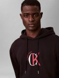 Maglia in felpa cappuccio Calvin Klein - nero - 1