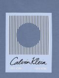 T-shirt manica corta Calvin Klein - avio - 2
