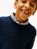 Pullover manica lunga Tommy Hilfiger - navy - 1