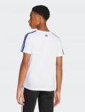 T-shirt manica corta sportiva Adidas - white - 2