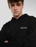 Maglia in felpa cappuccio Dickies - black - 1