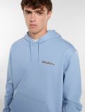 Maglia in felpa Dickies - cielo - 1