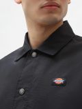 Giubbino Dickies - black - 1