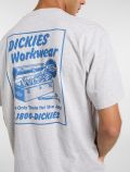 T-shirt manica corta Dickies - light grey - 4