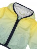 Giubbino Chicco - giallo verde - 1