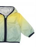 Giubbino Chicco - giallo verde - 2