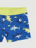 Parigamba Chicco - bluette - 1