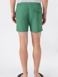 Boxer mare Champion - verde - 3