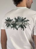 T-shirt manica corta Antony Morato - crema - 3