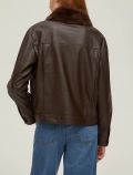 Giubbino Pennyblack - brown - 4