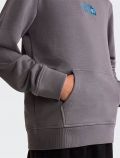 Felpa sportiva The North Face - grey - 4