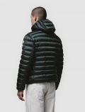 Giubbino imbottito Cape Horn - verde - 5