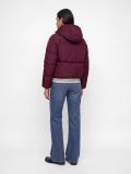 Giubbino Jjxx - bordeaux - 6