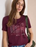 T-shirt manica corta Cecil - red - 0
