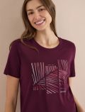 T-shirt manica corta Cecil - red - 1