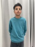Maglia in felpa Tommy Hilfiger - verde - 0