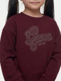 Maglia in felpa Guess - bordeaux - 1