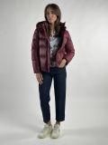 Giubbino Pennyblack - bordeaux - 3
