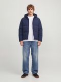 Giubbino imbottito Jack & Jones - sky capitain - 1
