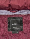 Giaccone Geox - bordeaux - 2