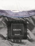 Giubbino Geox - panna - 1