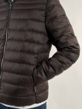 Giubbino imbottito Geox - marrone - 1