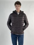 Giubbino imbottito Geox - marrone - 2