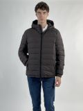 Giaccone imbottito Geox - marrone - 0
