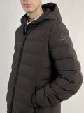 Giaccone imbottito Geox - marrone - 2