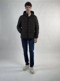Giaccone imbottito Geox - marrone - 3