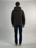 Giaccone imbottito Geox - marrone - 6