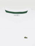 T-shirt manica corta Lacoste - bianco - 2