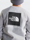 Felpa sportiva The North Face - grigio - 6