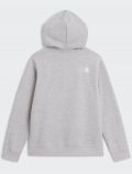 Felpa sportiva The North Face - grigio - 1