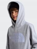 Felpa sportiva The North Face - grigio - 2