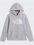 Felpa sportiva The North Face - grigio - 9