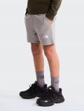 Pantalone corto The North Face - grey - 0