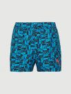 Boxer mare Puma - blue