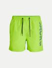 Boxer mare Jack & Jones - lime