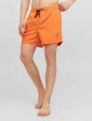 Boxer mare Jack & Jones - orange