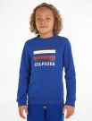 Maglia in felpa Tommy Hilfiger - bluette