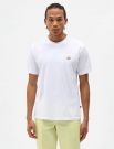 T-shirt manica corta Dickies - white