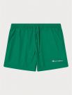Boxer mare Champion - verde