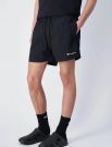 Boxer mare Champion - black
