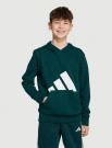 Felpa sportiva Adidas - verde