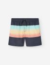 Boxer mare Losan - black