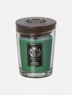 Candela Vellutier - siberian pine forest