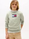 Maglia in felpa Tommy Hilfiger - verdino