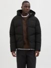 Giubbino imbottito Jack & Jones - black