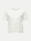 Maglia manica corta Only - cloud